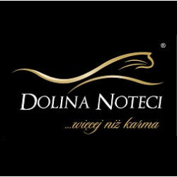 DOLINA NOTECI