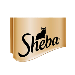 SHEBA