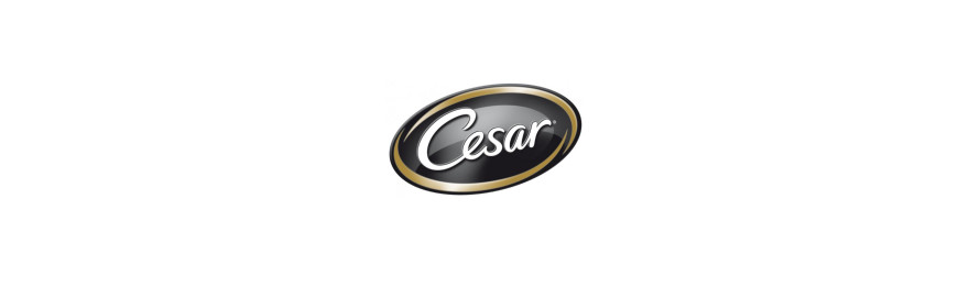 CESAR 西莎狗罐頭