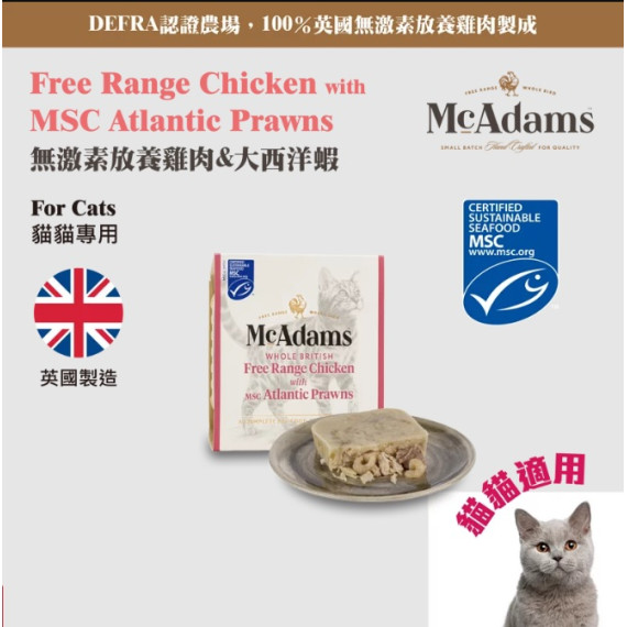 McAdams 自由放養雞肉、大西洋蝦 貓貓餐盒 100g [WET CAT] (紅)