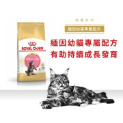 ROYAL CANIN  純種系列 FBN 緬因貓 幼貓糧 2kg [R448637]