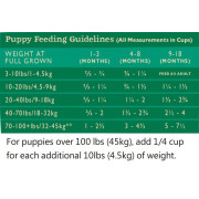 **清貨特價 (最佳食用日期:2025/01/31) ** Country Naturals CN0033 - 低敏感白鮭魚全犬種配方-04lb (綠)