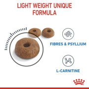 Royal Canin 加護系列 - 成貓體重控制加護配方 *Light Weight* 貓乾糧 01.5kg [2524015011]