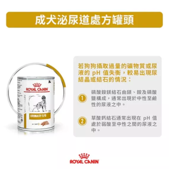 代理唔出 Royal Canin - Urinary S/O (LP18) 獸醫配方 狗罐頭 410克x12罐原箱 [2737501]