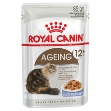 Royal Canin 健康營養系列 - 老年貓12+營養主食濕糧（啫喱） *Ageing 12+ Cat (Jelly)* 85g [2376100]