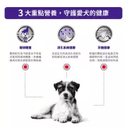 Royal Canin-Adult Neutered (Small Dog under 10kg) 小型成犬絕育處方 狗乾糧 1.5kg [3091600]