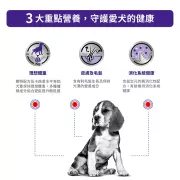 Royal Canin-Adult Neutered (中型犬Medium) 獸醫配方成犬絕育處方糧 狗乾糧 3.5kg [3092100]