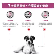 Royal Canin - Renal For Small Dogs 獸醫配方 腎臟處方 (小型) 狗乾糧 1.5kg [2928000]