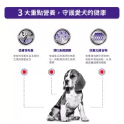 Royal Canin - Adult (中型犬) 獸醫配方 狗乾糧 4kg [3090800]