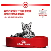 Royal Canin - Diabetic (DS46) 獸醫配方 成貓糖尿病處方 貓濕包 85g x 12包/箱 [2787200]