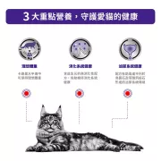 Royal Canin - Neutered Weight Balance 獸醫配方 絕育貓飽足感健康管理 貓濕包 85g x 12包/箱 [3100700]