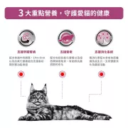 Royal Canin - Early Renal 獸醫配方 早期腎臟處方 貓濕包 85g x 12包/箱 [2917600]