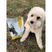 Nature's Protection MS26 細粒活力老犬糧 2kg **新舊包裝 隨機發貨**