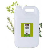 Divine Pets - Tea Tree Sampoo 極致清爽洗毛液 5L | 大桶