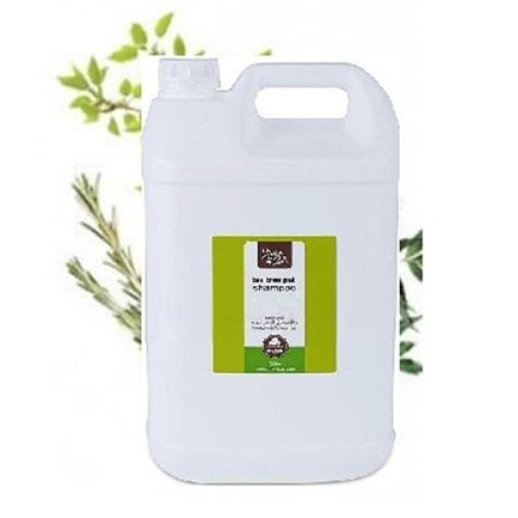 Divine Pets - Tea Tree Sampoo 極致清爽洗毛液 5L | 大桶