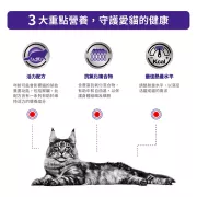 Royal Canin - Mature Consult 獸醫配方 老年貓均衡濕糧配方 貓濕包 85g x 12包/箱 [3019000/3100900]