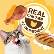 Friskies 喜躍 Party Mix 天然貓小食雞肉 Natural Yums Chicken 2.1oz [12382170]