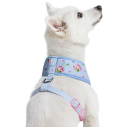 美國Blueberry Pet - Spring Scent Inspired Floral 狗用胸帶背心 *XS* (Pastel Blue)