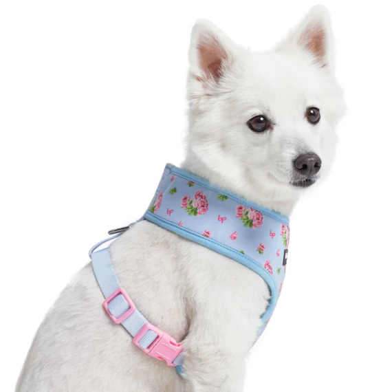 美國Blueberry Pet - Spring Scent Inspired Floral 狗用胸帶背心 *S* (Pastel Blue)