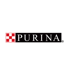 PURINA 狗乾糧