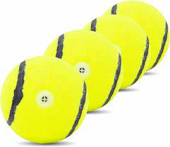 FOFOS Sports Fetch Ball 4pk : Buy Online at Best Price in KSA - Souq is now  Amazon.sa: Pet Supplies