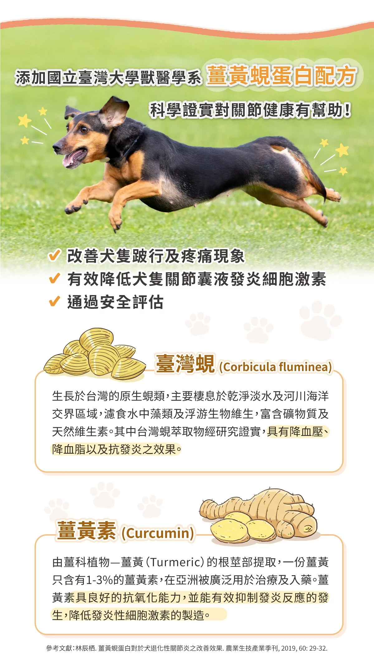 國立臺灣大學獸醫學系薑黃蜆蛋白配方改善犬隻跛行及疼痛現象